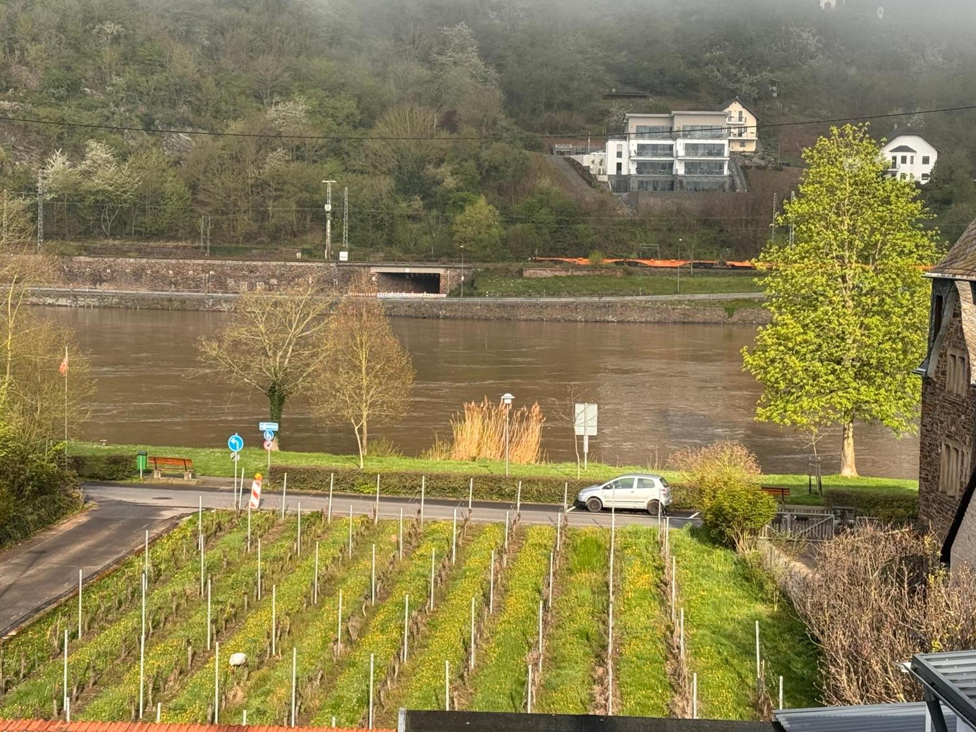 Hakans Moselblick Apartment Treis-Karden